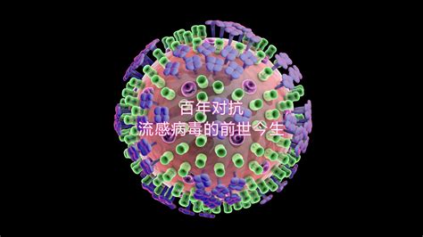 流感 病毒 有 哪些 分 型
